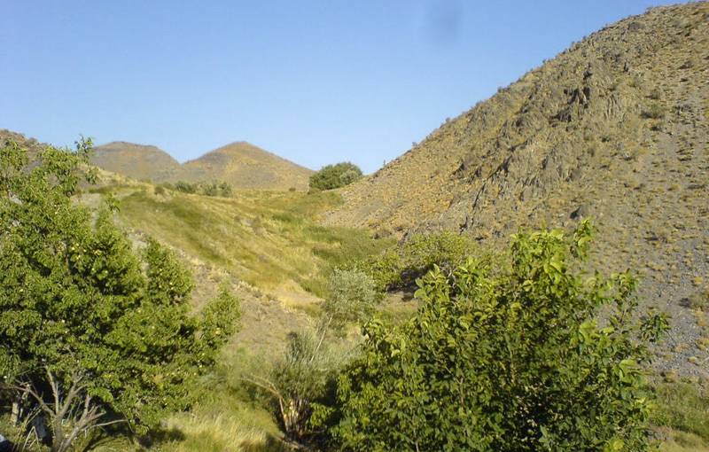 پناهگاه حیات وحش زریاب یکی از دیدنی های استان کرمان به شمار می رود